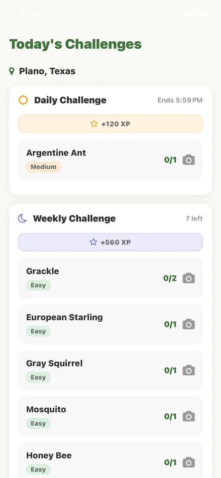 Daily and weekly wildlife challenges